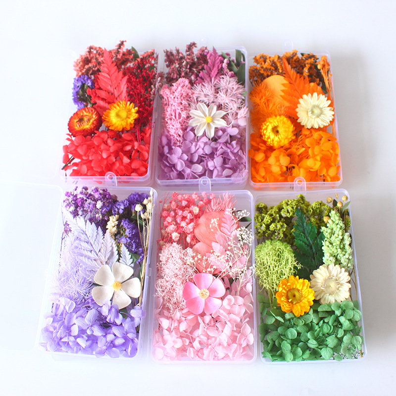 Home Decor Handicraft - Box Packed Dry Flower Eternal Flower