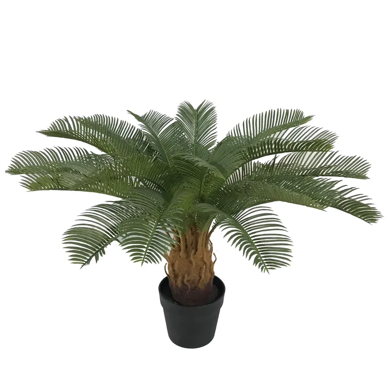 Artificial Cycas Sago Bonsai P - Home Decor Handicraft ulasan dan harga