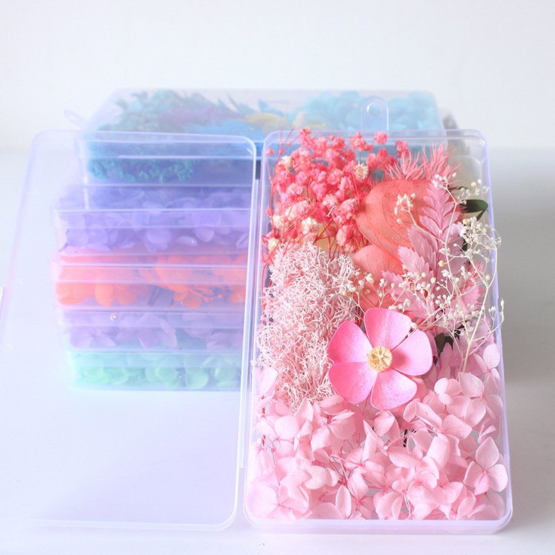 Box Packed Dry Flower Eternal  - Home Decor Handicraft ulasan dan harga