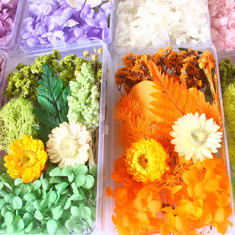 Box Packed Dry Flower Eternal  - Home Decor Handicraft ulasan dan harga